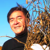 小滝流水 小滝流水