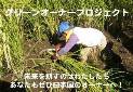 GOPグリーンオーナープロジェクト GOPグリーンオーナープロジェクト